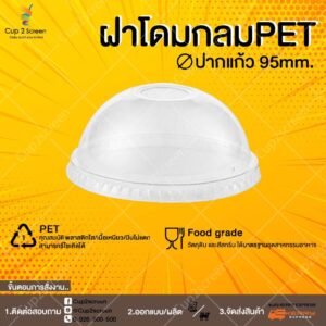 โดม95
